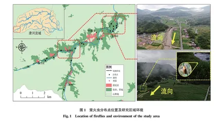 潦河中源段水生条背萤生境适宜性评价