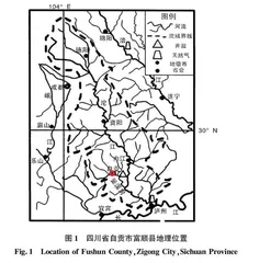 基于AHP-PSO法的沱江流域农村人居环境研究
