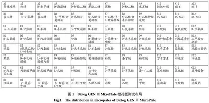 一株除臭细菌的筛选及鉴定