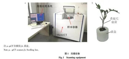 蔬菜穴盘苗根系生长质量评测