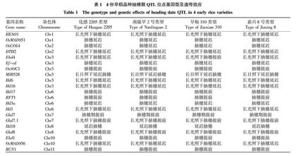 特早熟早稻品种选育技术研究与应用