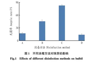 韭菜珠芽高效离体再生体系的建立
