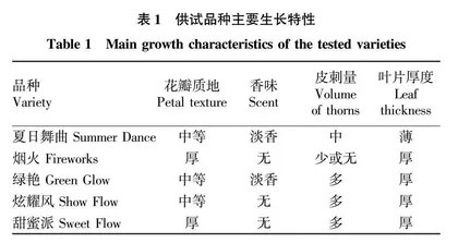 不同基质配比对月季切花品种扦插生根的影响