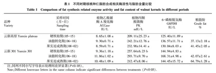 云新系核桃脂肪酸合成和种仁性状与酶活性相关性研究