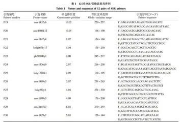 玉米品种真实性SSR分子检测体系优化