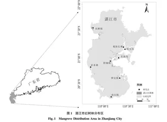 湛江市红树林湿地沉积物重金属来源研究进展