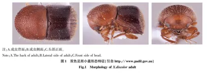 江苏口岸截获的5种足距小蠹属昆虫的检疫鉴定与防控