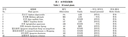 中间锦鸡儿茎水浸提液对荒漠草原10种草本的化感作用