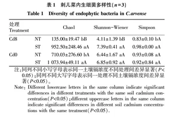 刺儿菜内生细菌多样性对镉胁迫的响应