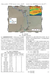 塔里木河下游植被非生长季火灾风险  等级遥感评估
