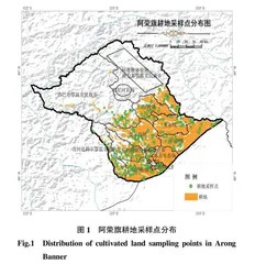 大兴安岭南麓农田土壤速效养分空间异质性分析