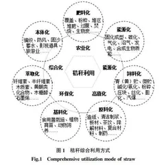 多维价值下的秸秆资源利用与秸秆产业发展研究