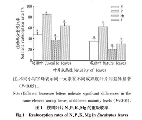 桉树不同成熟度叶片水溶性营养元素循环规律