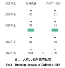 国审青贮玉米杂交种大京九4059的选育与评价