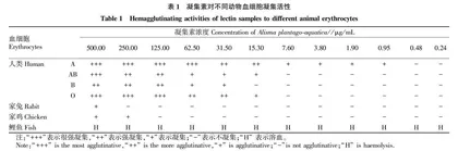 理化因素对川泽泻凝集素血细胞凝集活性的影响