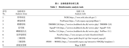 黄鳝雄激素受体生物信息学分析