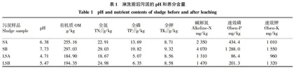 淋洗后污泥对3种蔬菜种子萌发的影响