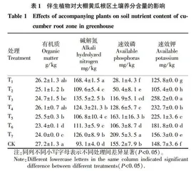 伴生植物对大棚黄瓜生长及产量的影响