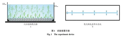 沉水植物氧化塘技术对村镇污水厂尾水的深度处理效果