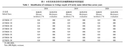 34份新选育玉米自交系抗瘤黑粉病鉴定及抗性遗传分析 