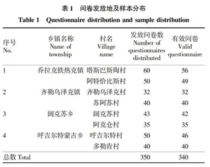 农村少数民族妇女就业能力提升影响因素分析