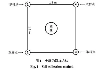 基于云模型的濒危藤枣土壤养分评价