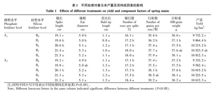 硅磷配施对春玉米抗倒性及产量的影响