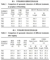 井窖式移栽打孔规格及填土封口时间对烤烟生长发育和产质量的影响