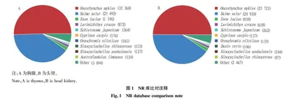 基于转录组技术的枫叶鲑亲本鉴定和杂交优势分析
