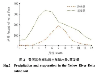 燕麦+木霉调控黄河三角洲滨海盐渍土保墒研究