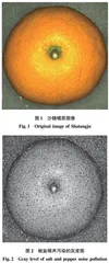 基于机器视觉的沙糖橘果皮破裂和缺陷检测