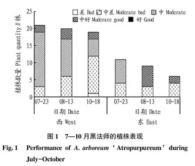 莲花掌属植物露地栽培适应性评价