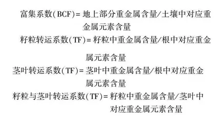 不同水稻品种在碱性农田土壤中对镉富集与转运差异研究