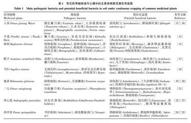 药用植物连作障碍的形成机制及其缓解措施研究进展
