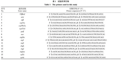 环境相关浓度双酚AF暴露对成年雌性弓背青鳉生长和生殖的毒性效应