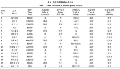 北方高寒黑土区马铃薯品种比较试验