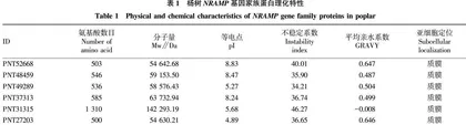 杨树NRAMP基因家族全基因组鉴定与生物信息学分析