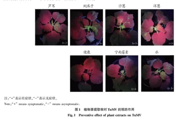 植物源提取物对TuMV和PVY的抗病毒作用