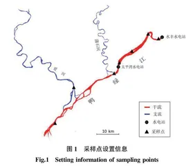 鸭绿江丹东段鱼类资源调查