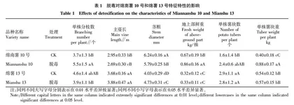 脱毒对淀粉型甘薯产量和品质的影响