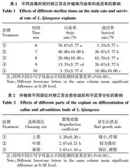 丽江百合组织培养及再生体系建立