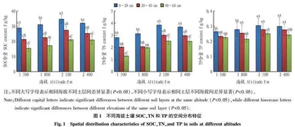 秦岭中段太白山以北不同海拔土壤碳·氮·磷生态化学计量特征