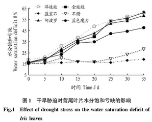 干旱胁迫对不同鸢尾生理指标的影响