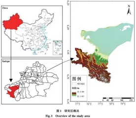 2010—2020年喀什地区土地利用与覆被变化特征