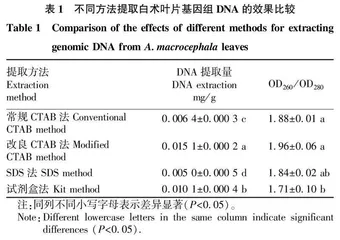 白术叶片DNA提取方法的优化