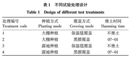 覆盖物对大棚芋头生长发育特征及土壤性状的影响