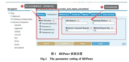 蕨麻cpSSR序列特征分析