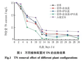 不同植物配置的生态沟渠对农田排水中氮磷的去除效果