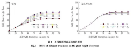 淹水时期与天数对大豆生长性状和产量的影响