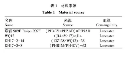 DH血缘对玉米单倍体诱导率和自然加倍率的影响